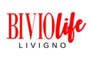 Logo Bivio